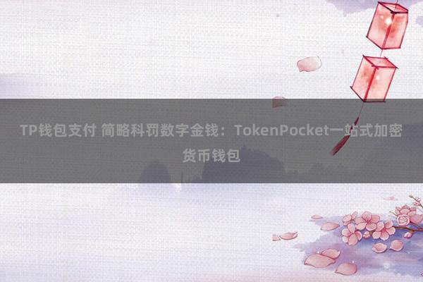 TP钱包支付 简略科罚数字金钱：TokenPocket一站式加密货币钱包