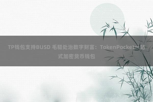 TP钱包支持BUSD 毛糙处治数字财富：TokenPocket一站式加密货币钱包